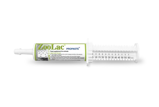 Zoolac Propaste