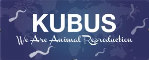 Kubus